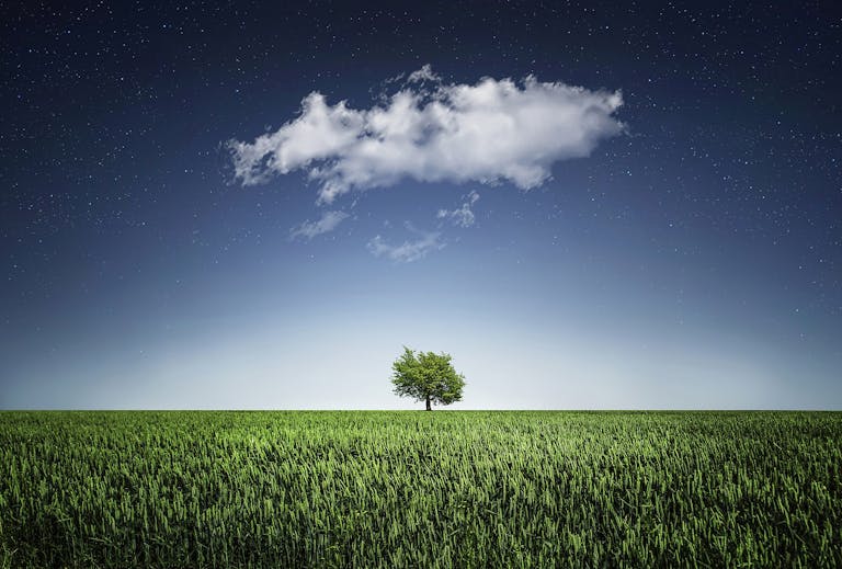 VirtusPlays A solitary tree in a field beneath a cloud and star-filled night sky, showcasing nature's serenity.
