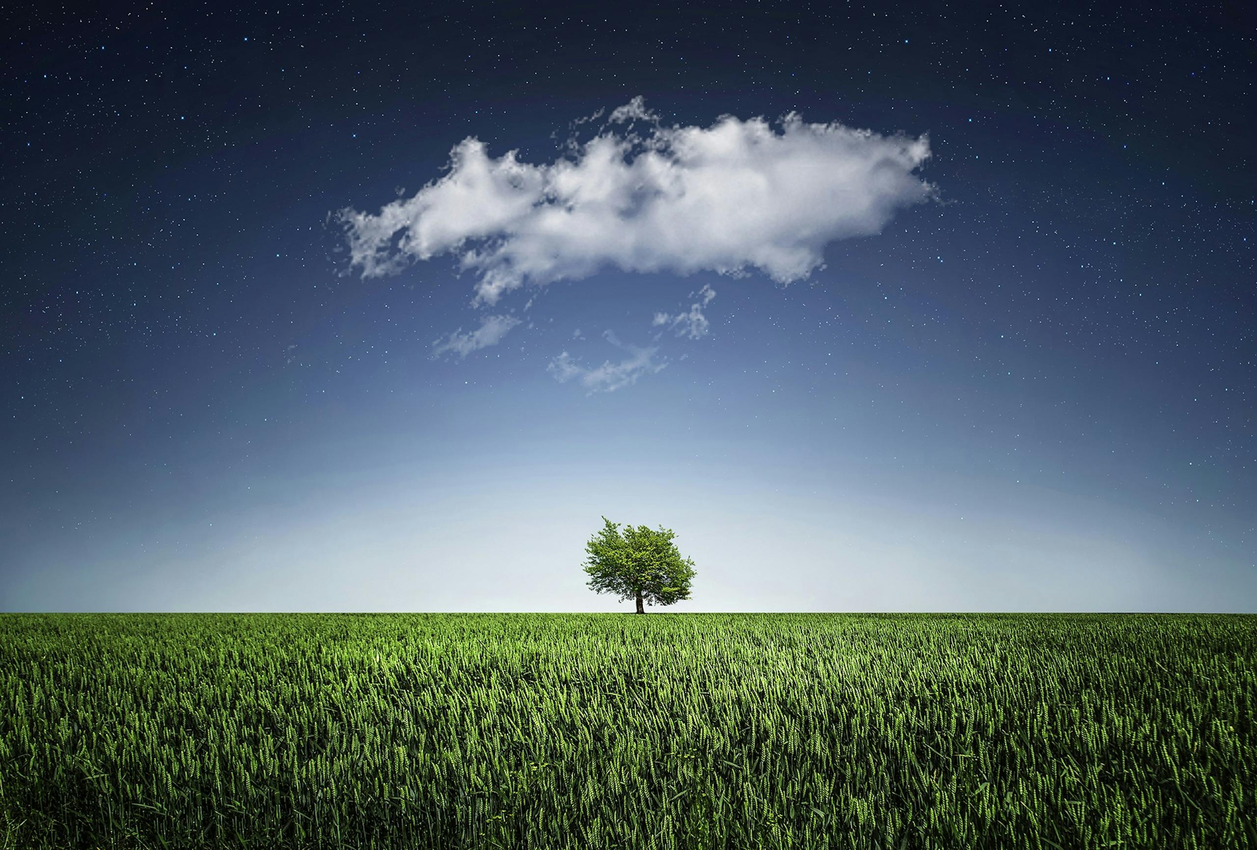 VirtusPlays A solitary tree in a field beneath a cloud and star-filled night sky, showcasing nature's serenity.
