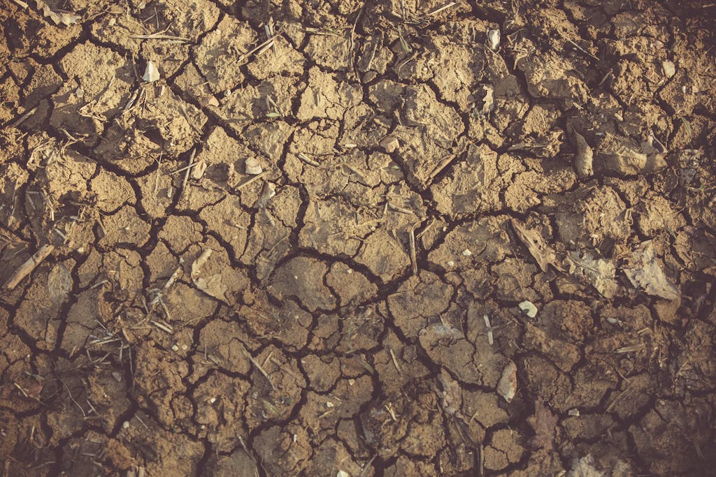 Bastinews.xyz Close-up of cracked, arid soil showing detailed textures and patterns, indicative of drought conditions.