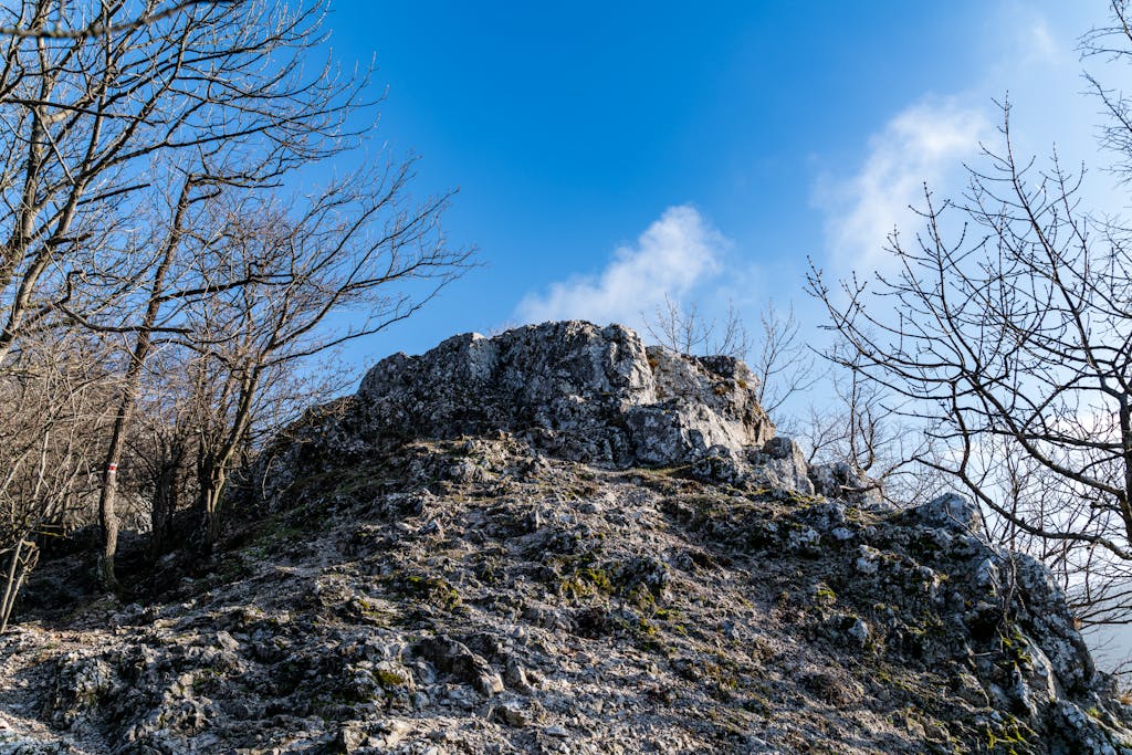 The World of Dojen Moe A rugged hilltop with bare trees under a clear blue sky, capturing the essence of winter.