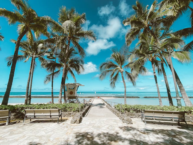 Inter Miami Beautiful Waikiki Beach with palm trees and lifeguard tower under clear blue skies.