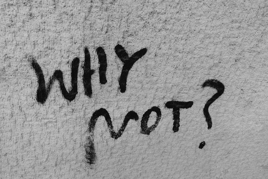 ChatPic Black graffiti reading 'Why Not?' on a rough wall texture, inspiring curiosity.