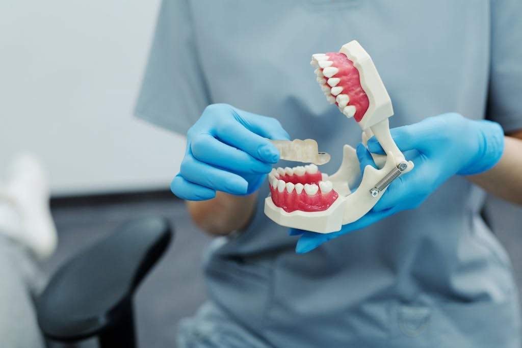 Dental Software News Today Close-up of a dental professional demonstrating with a teeth model in a clinic setting.