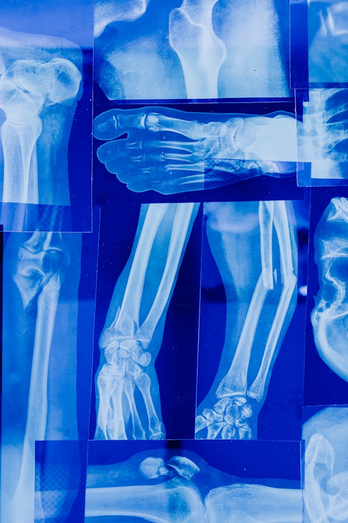 Sotwe  Detailed collage of human bone x-rays illustrating various skeletal parts in blue tonality.