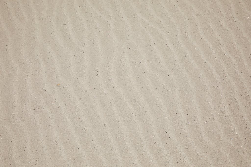 Sotwe Top view of empty dry plain surface of beach covered with sand in daytime